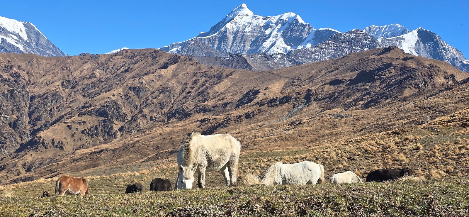 Ranthan Khadak trek ridgeline view